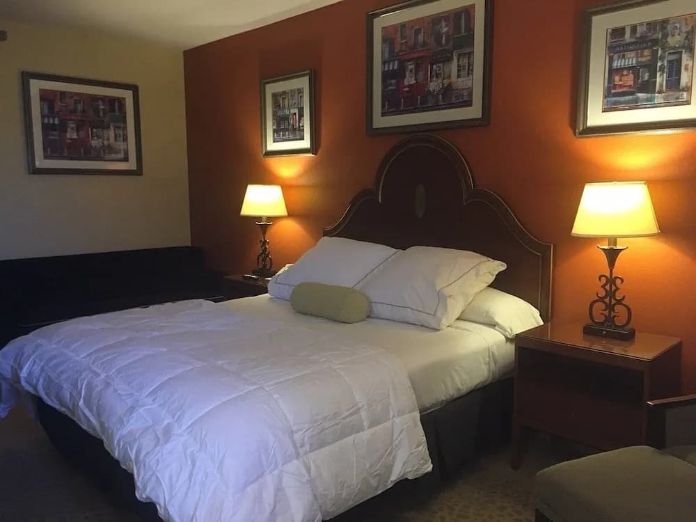 Standard Double room full double bed