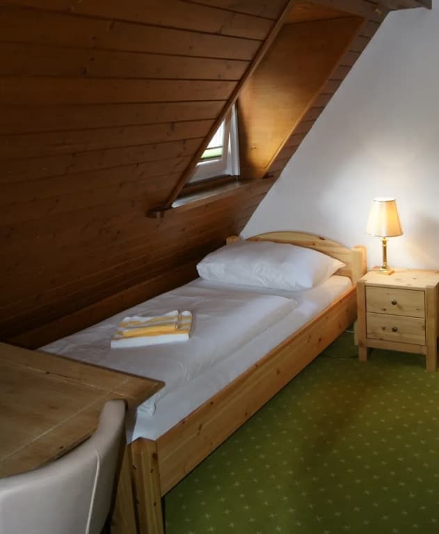 Standard Single room with mountain view