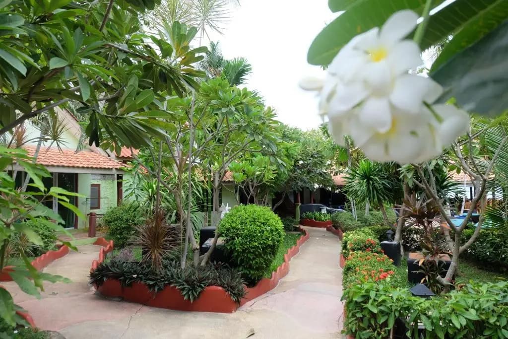 Hotel photo 15