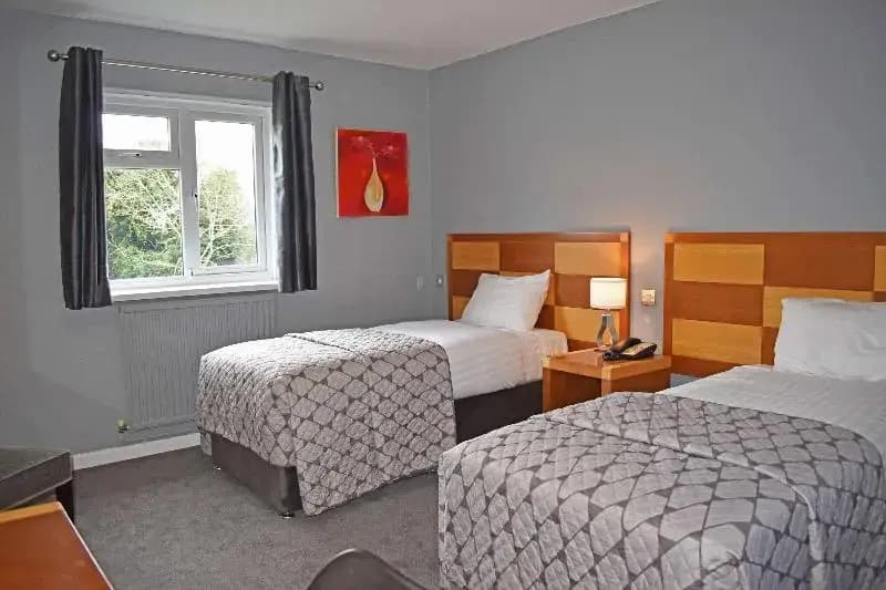 Standard Double room with balcony twin beds