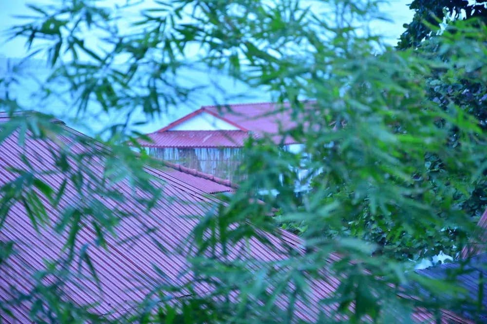 Hotel photo 31
