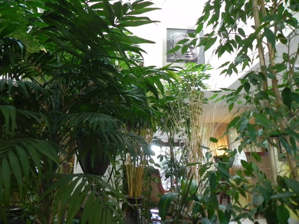 Hotel photo 18