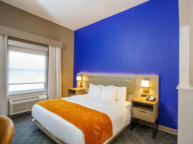 Standard Suite