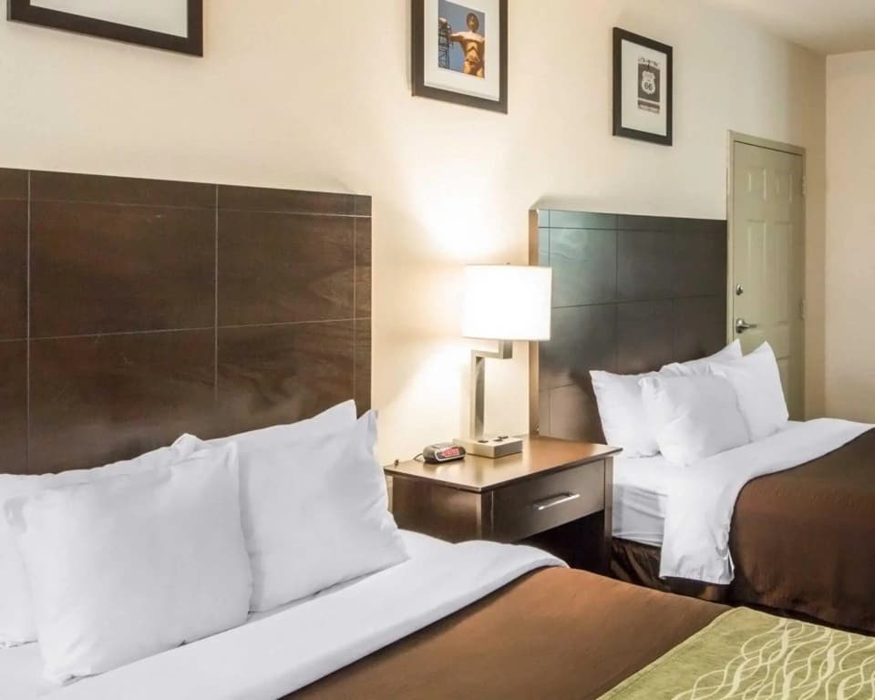 Standard Double room twin beds