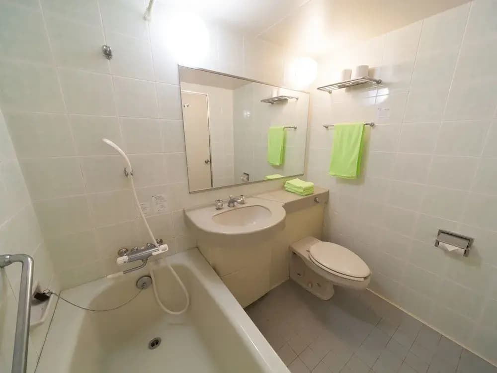 Standard Double room twin beds