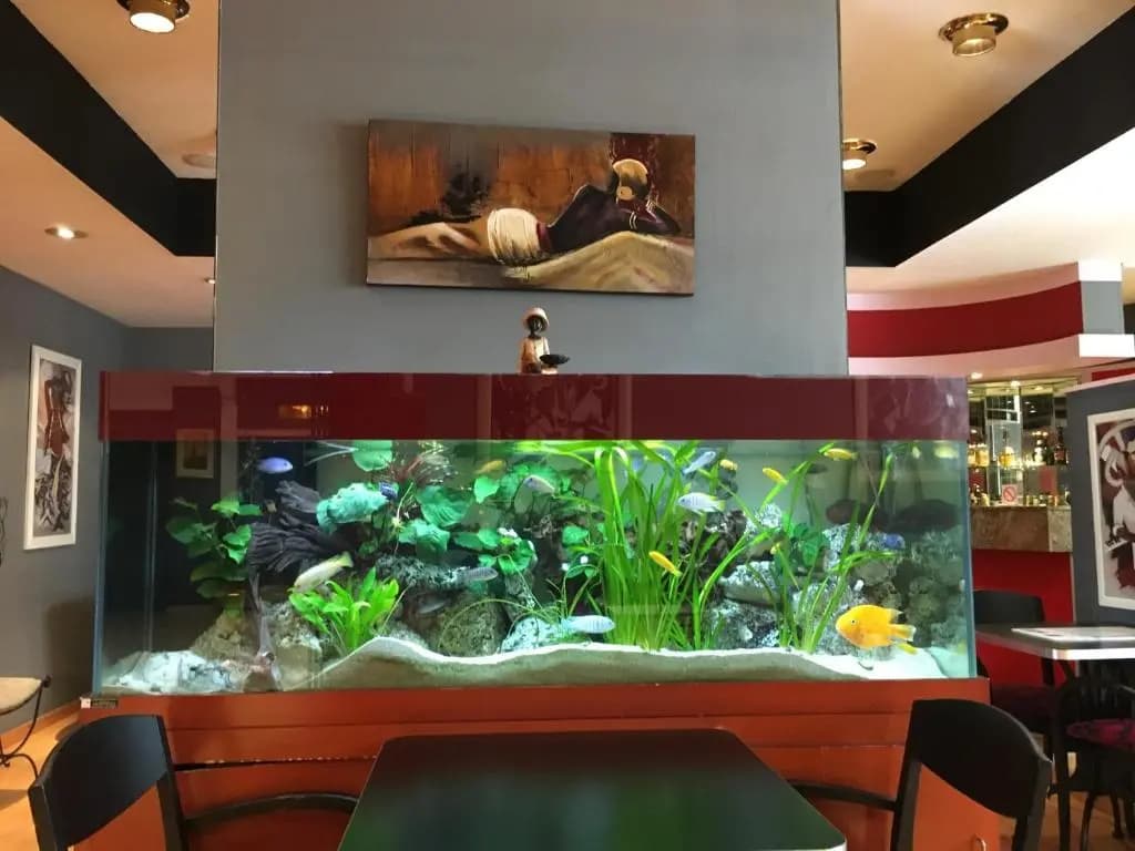 Hotel photo 28