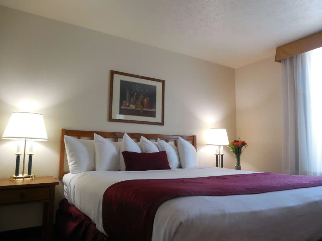 Standard Double room full double bed