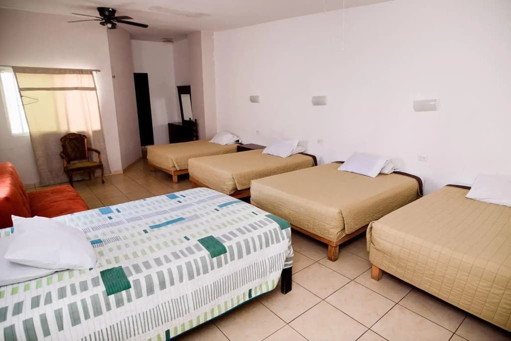 Hotel photo 7