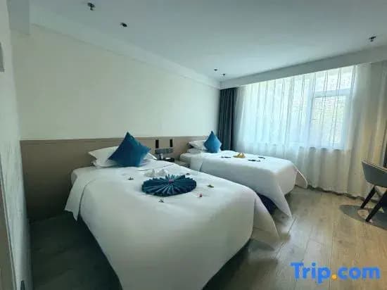 Standard Double room twin beds