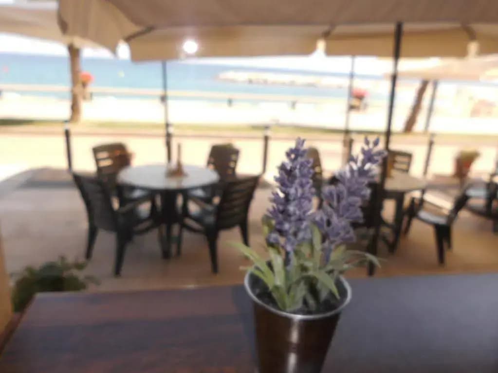 Hotel photo 30