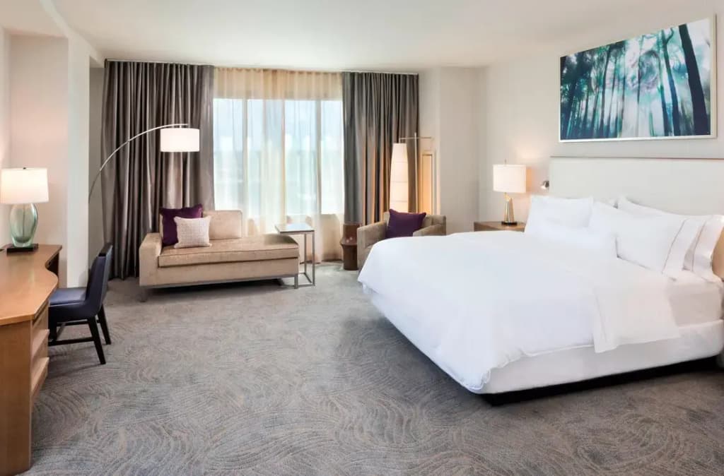 Junior Suite
