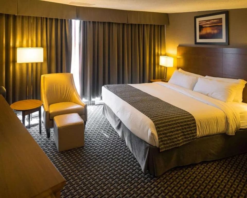 Standard room with city view