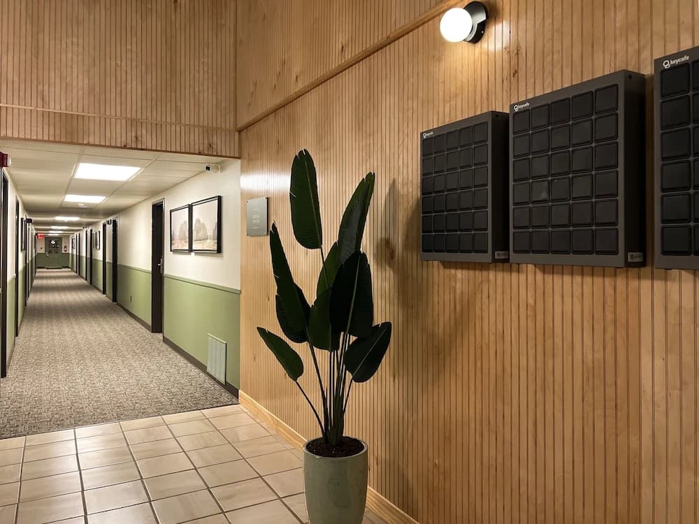 Hotel photo 12
