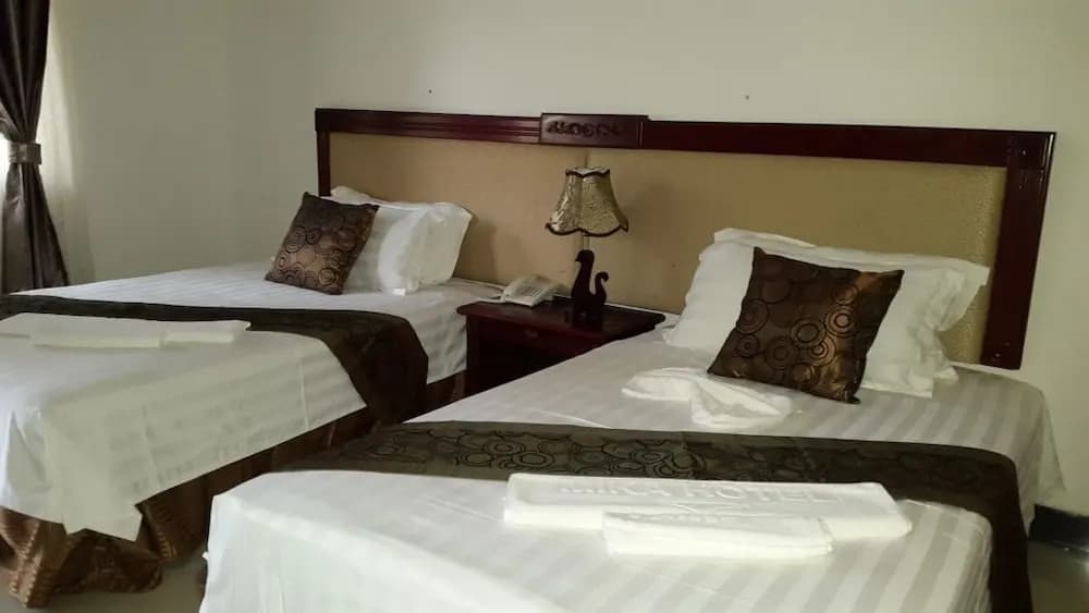 Standard Double room twin beds