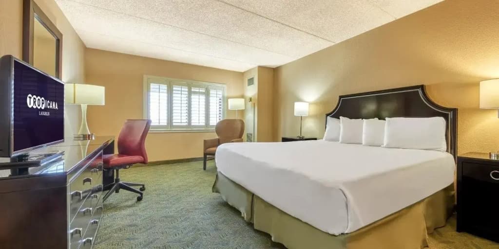 Standard Double room with pool view full double bed