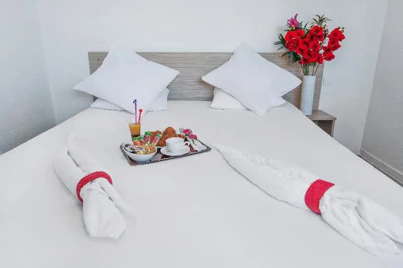 Standard Double room with balcony full double bed