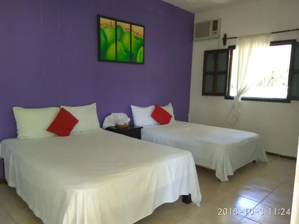 Standard Double room twin beds