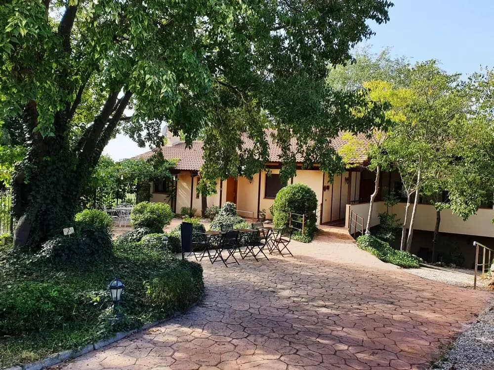 Hotel photo 14