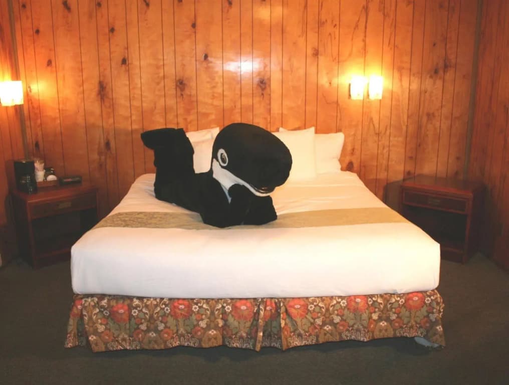 Hotel photo 24