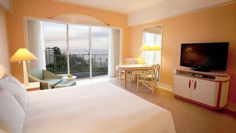 Deluxe Double room with balcony full double bed
