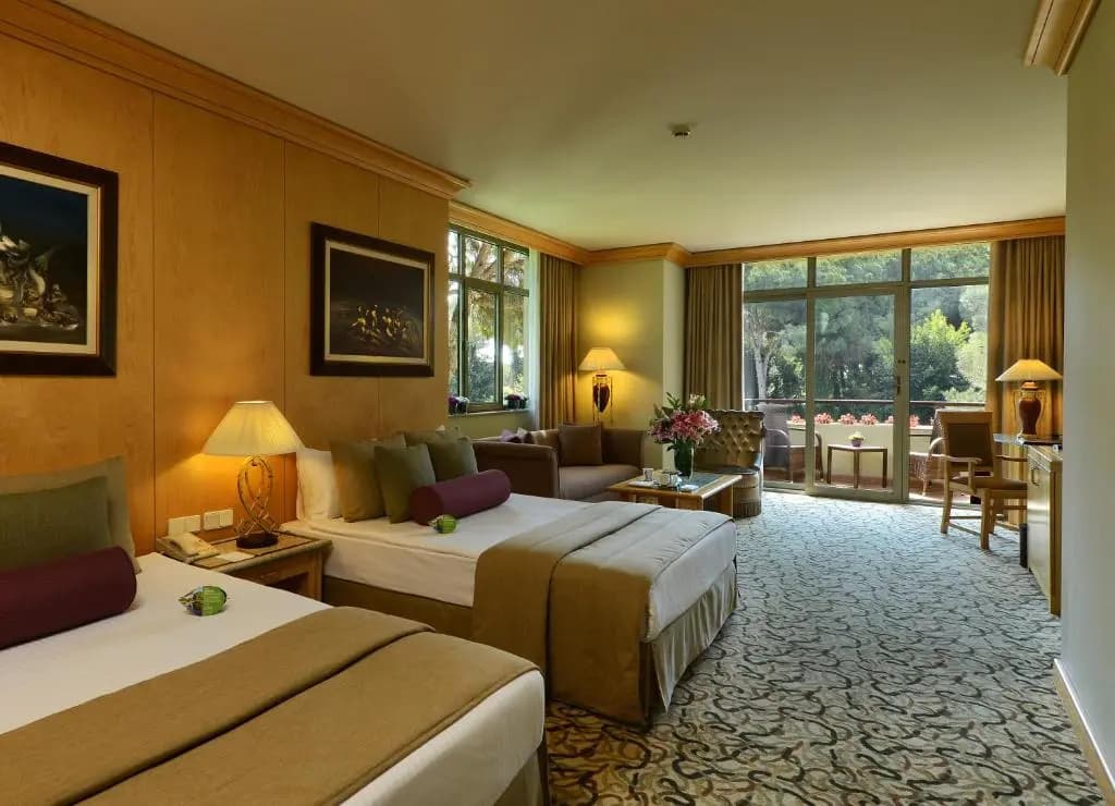 Deluxe Suite