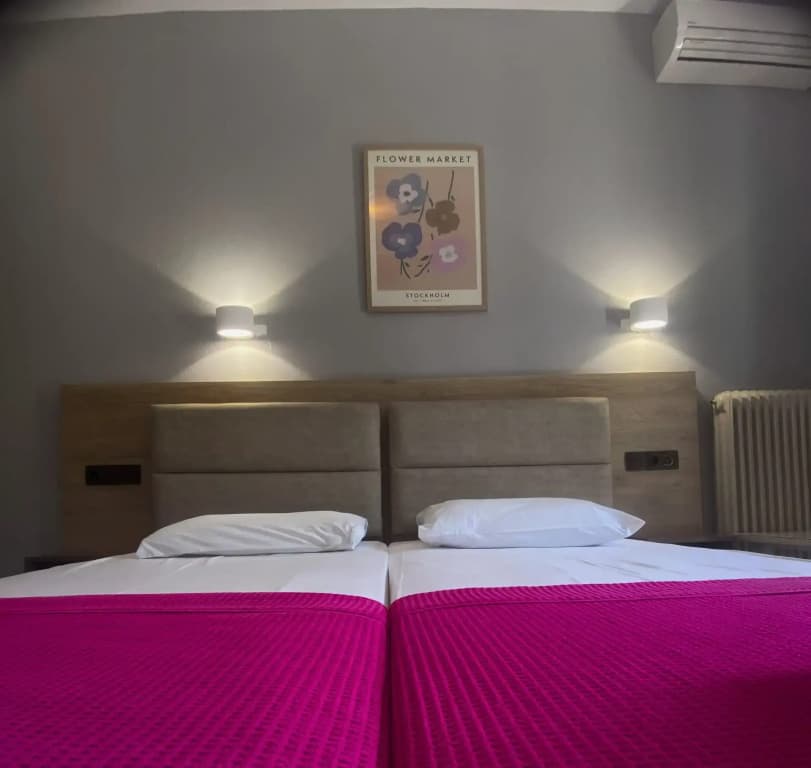 Standard Double room with mountain view twin beds