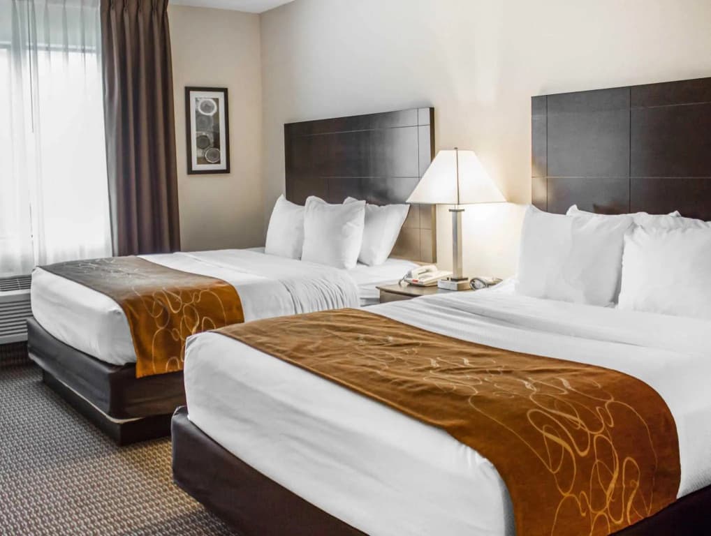 Quadruple Suite