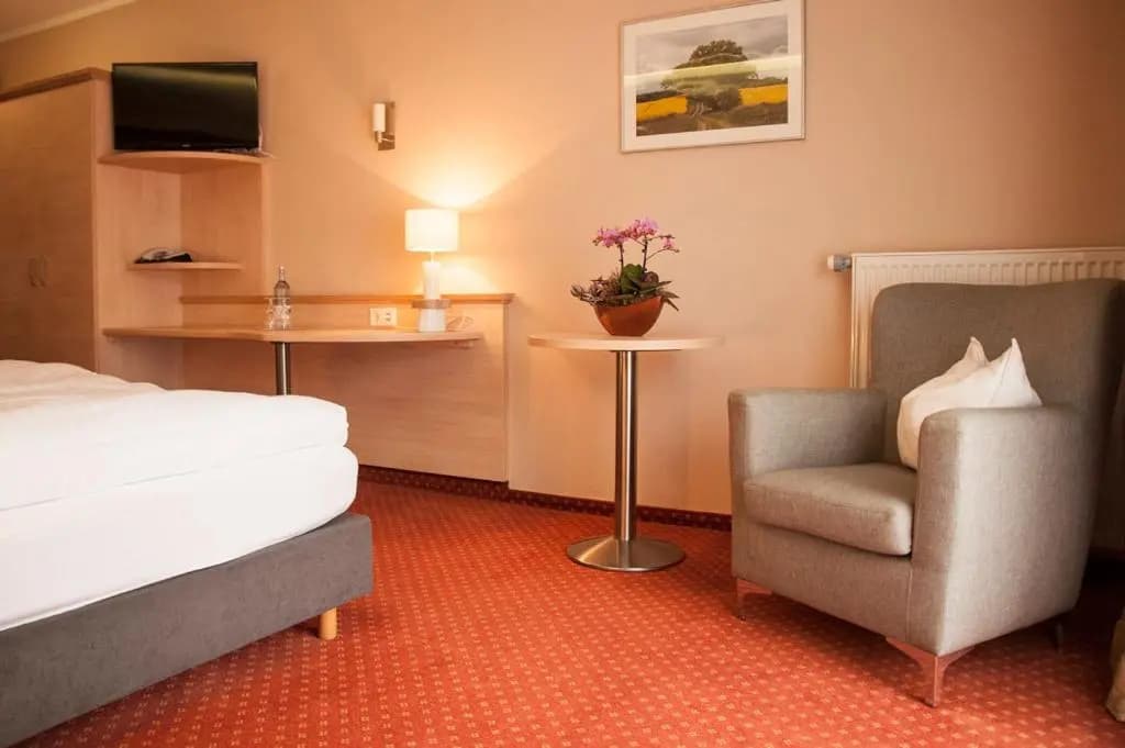Standard Double room full double bed