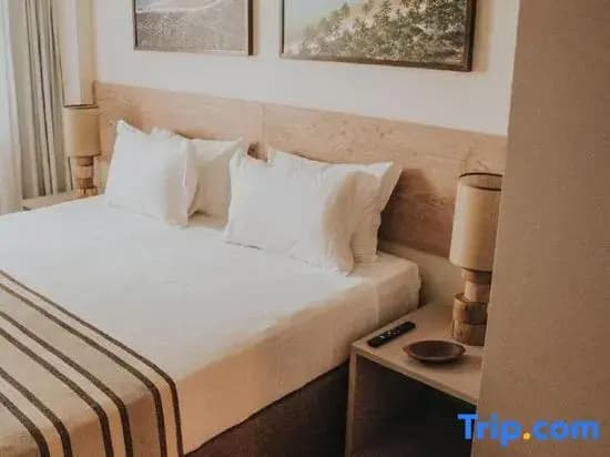2 Bedrooms Single Apartment