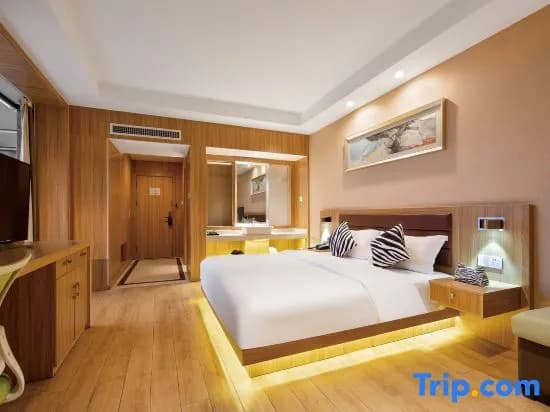 Standard Double room with city view full double bed
