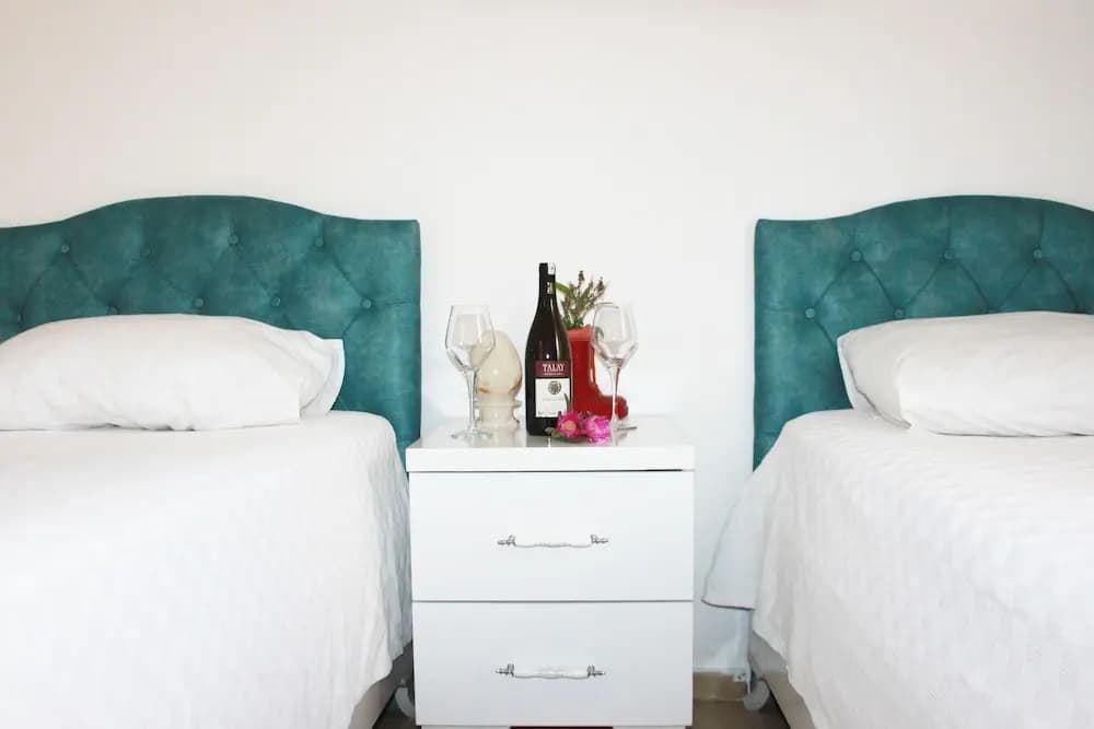 Standard Double room twin beds