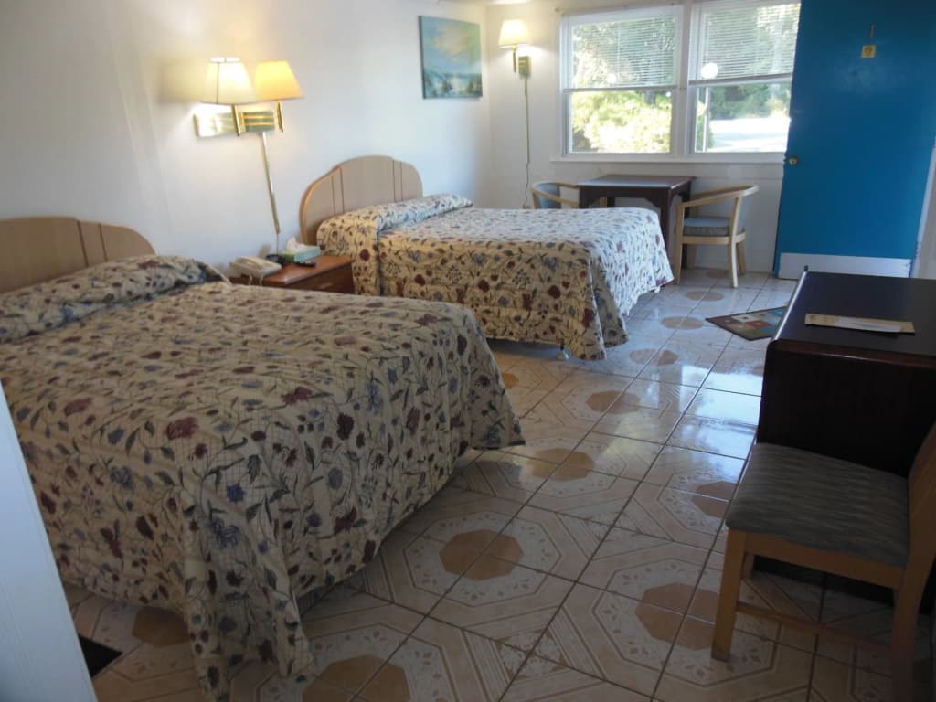 Hotel photo 11