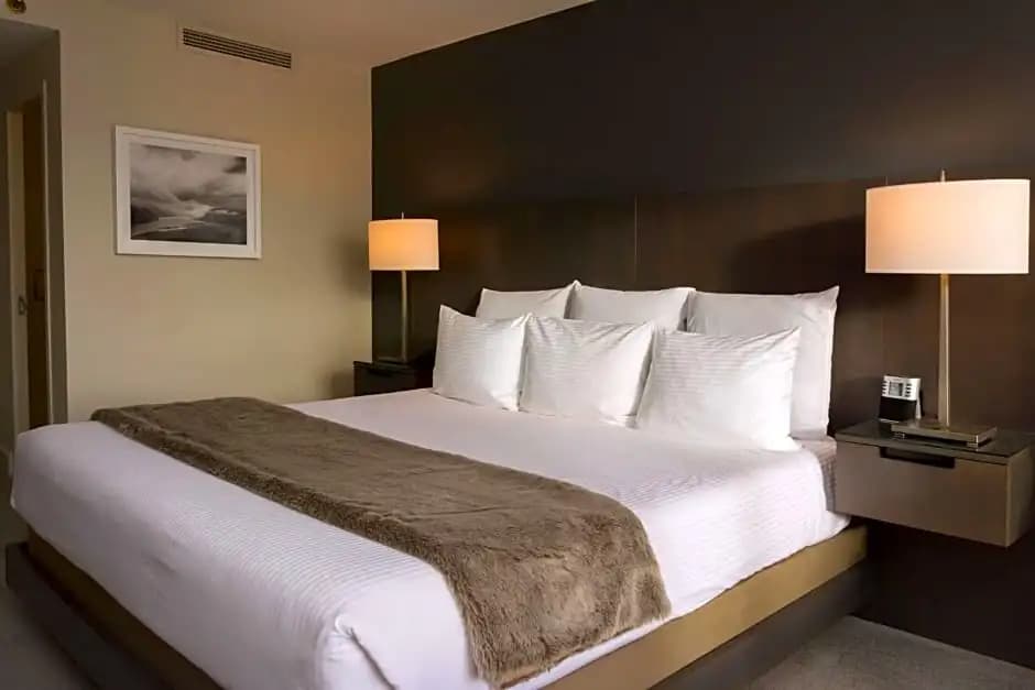 Accessible Studio Suite