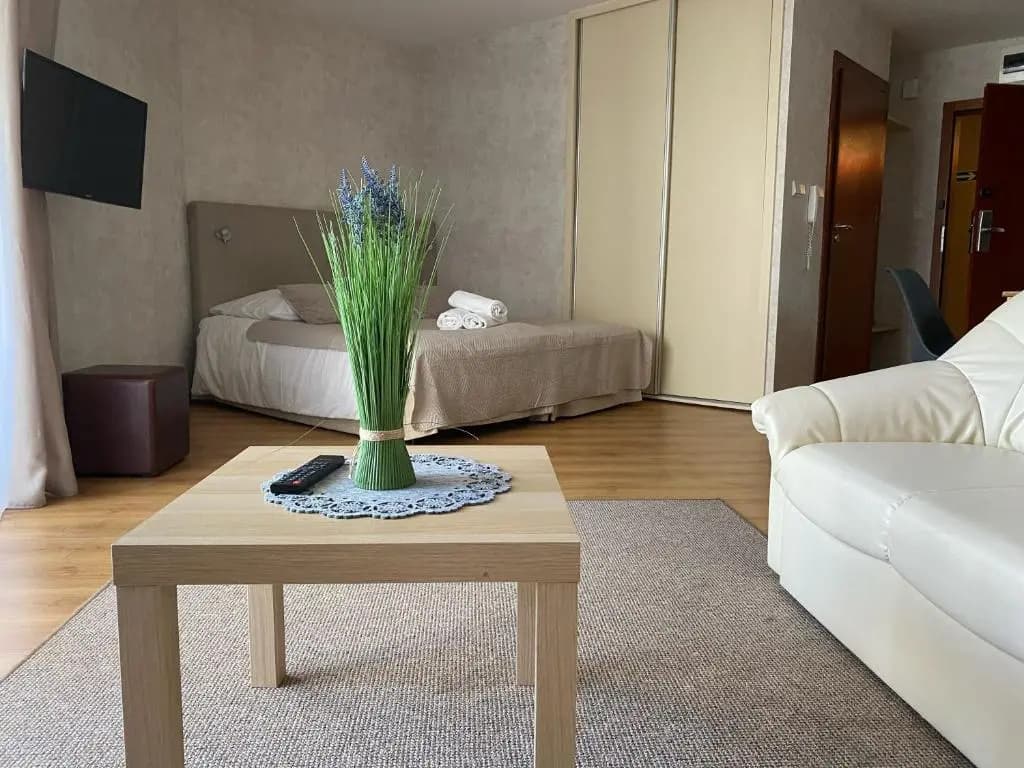 Basement Apartment
