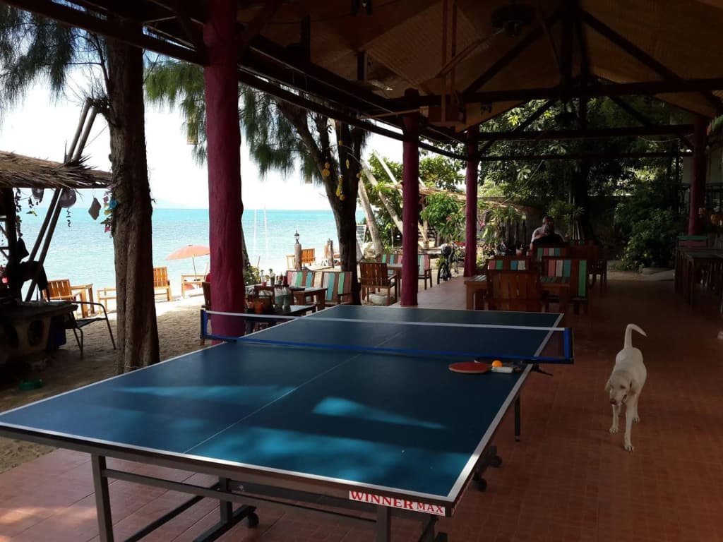 Hotel photo 25