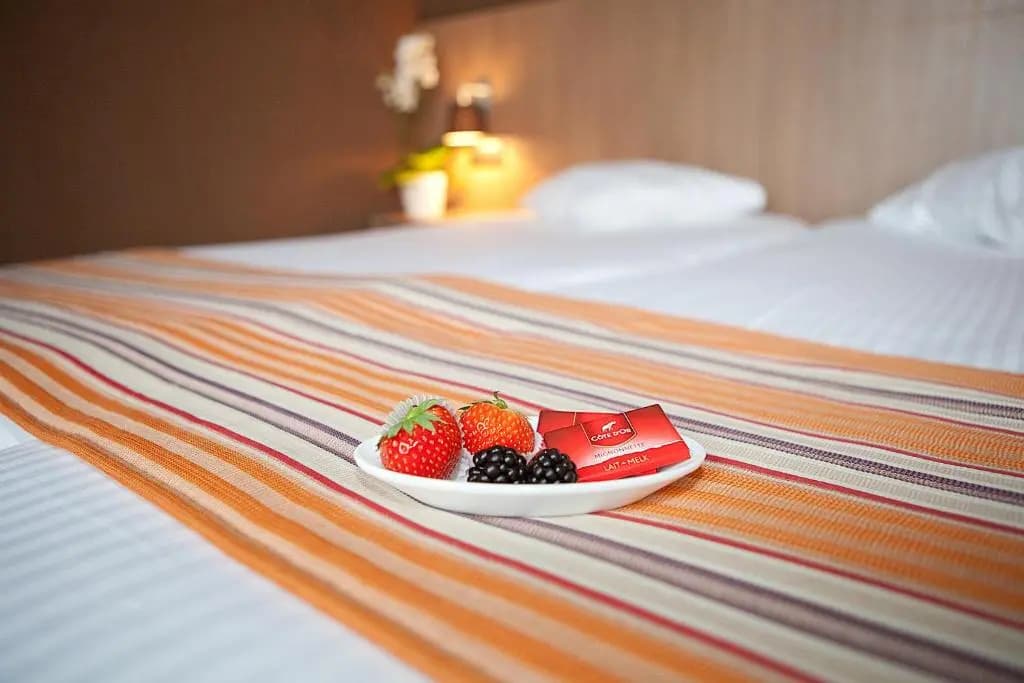 Hotel photo 12