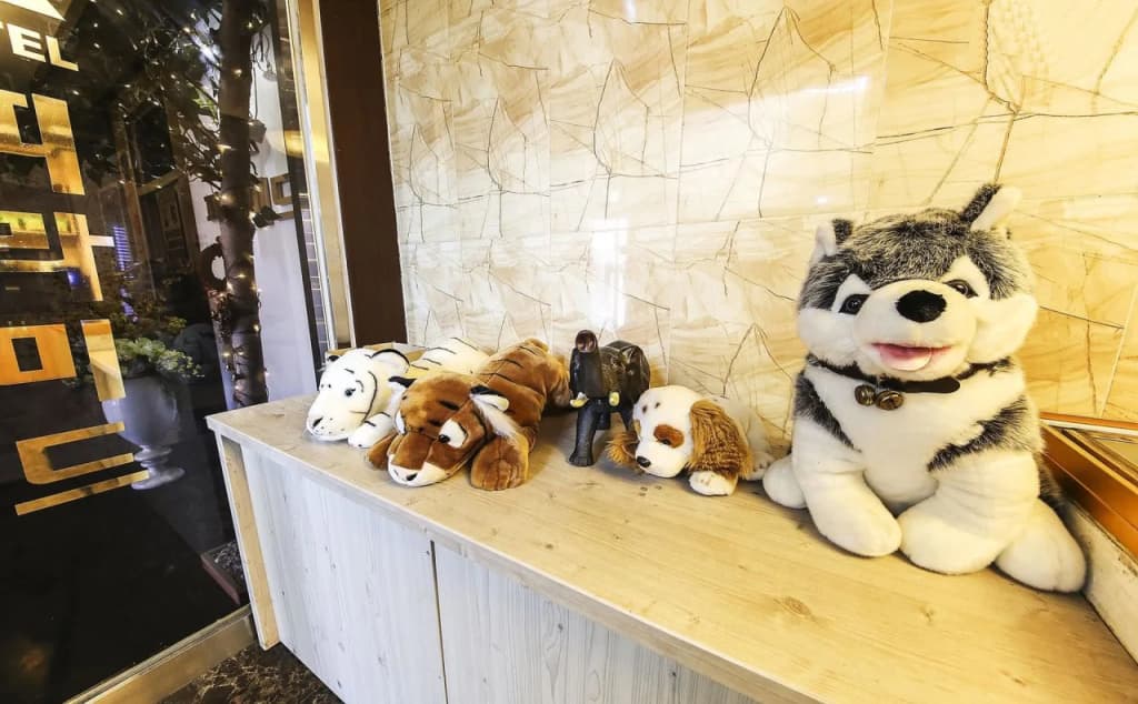 Hotel photo 12