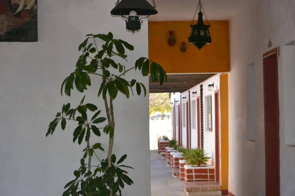 Hotel photo 11