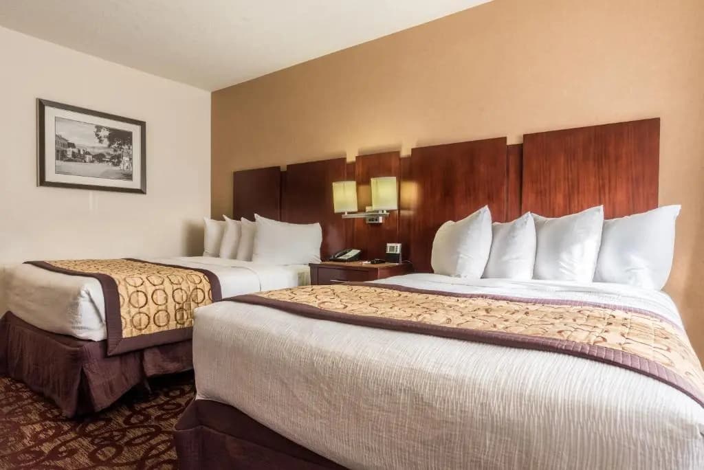 Standard Double room full double bed