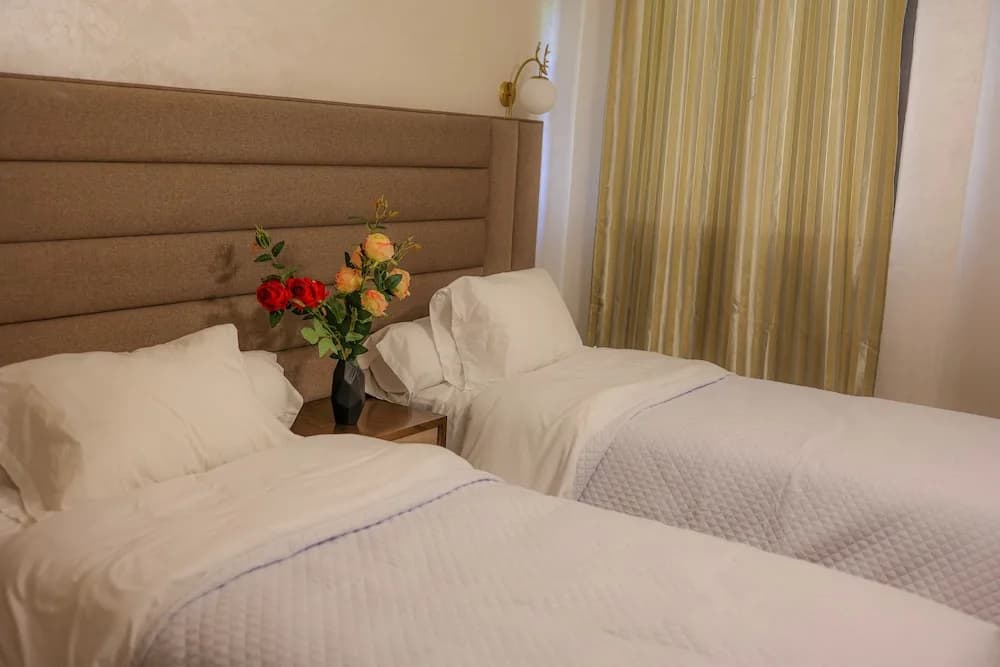 Deluxe Double room twin beds