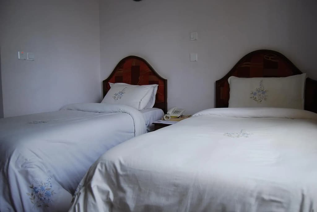 Standard Double room twin beds