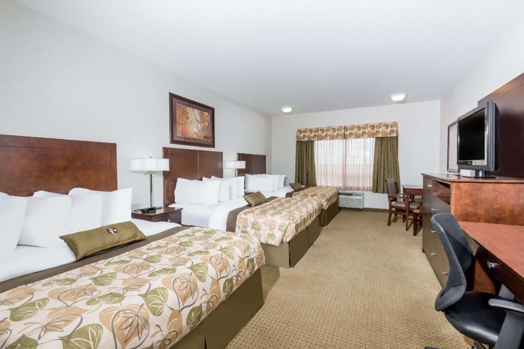 Duplex Suite