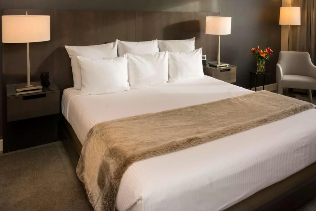 Urban view Double Guest room full double bed