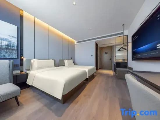 Executive Double room twin beds