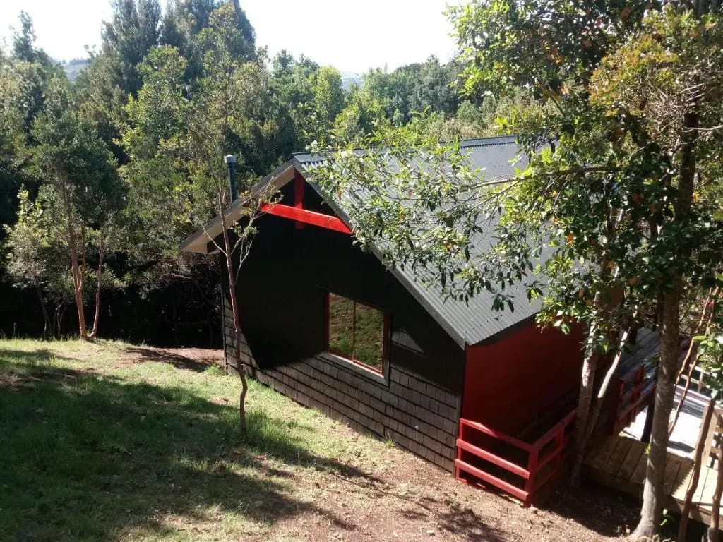 Standard Bungalow