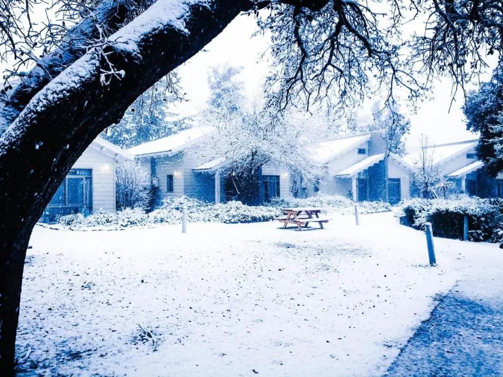 Chalet