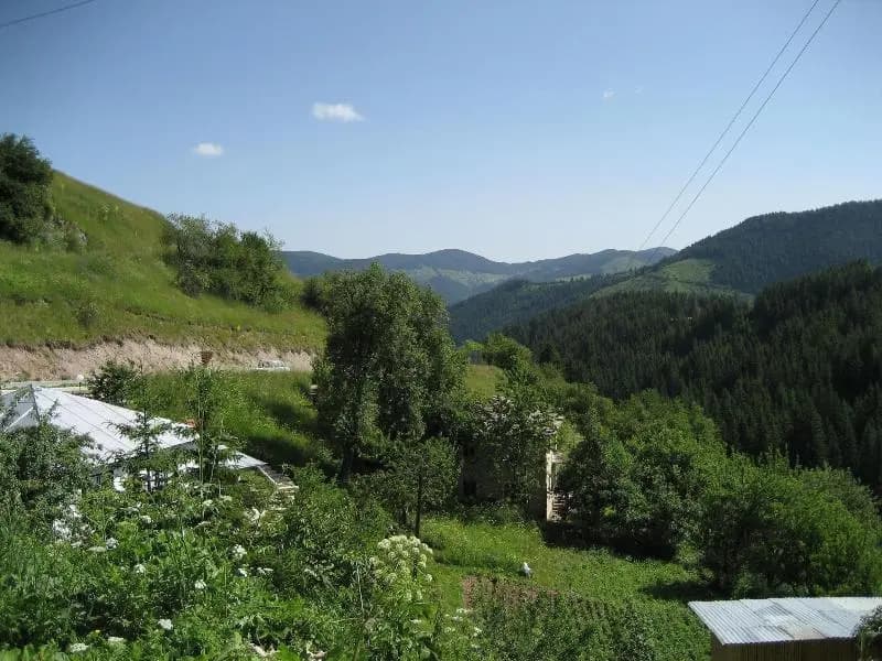 Hotel photo 50