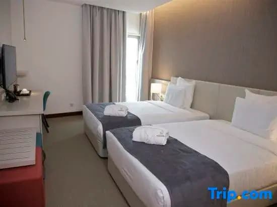 Standard Double room twin beds