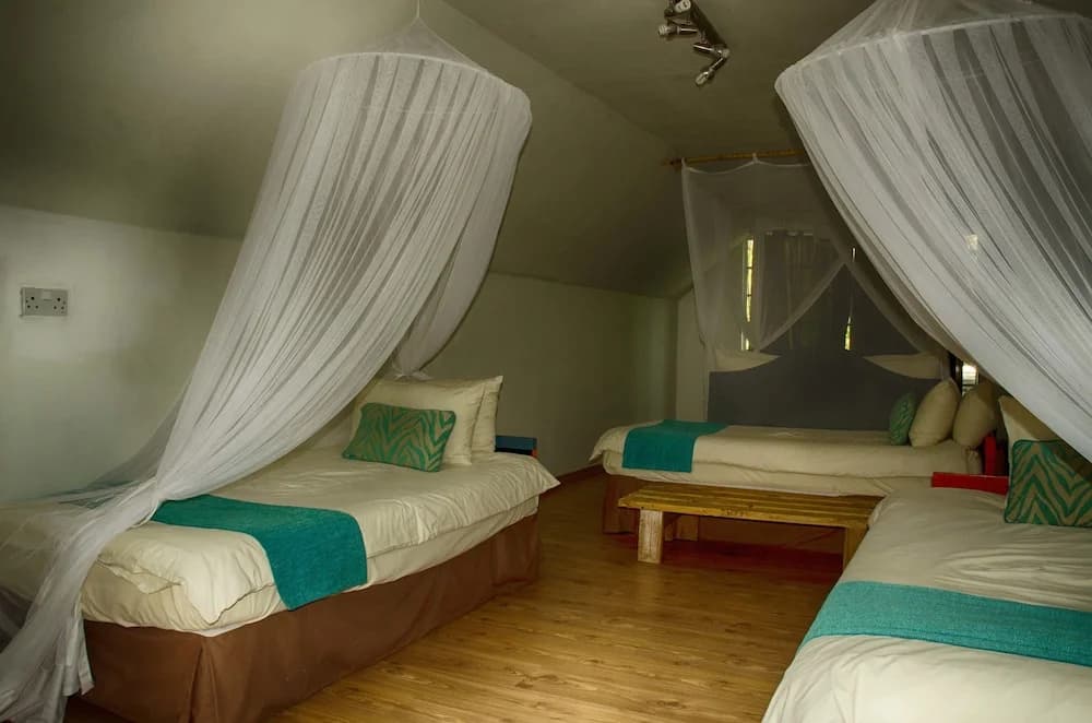 Family Apartment