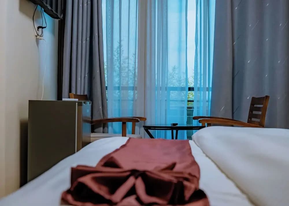 Deluxe Double room with balcony and with city view twin beds